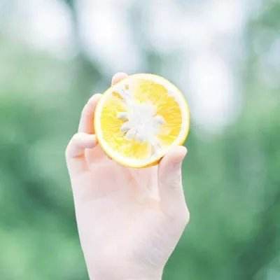 kok在线登陆官网